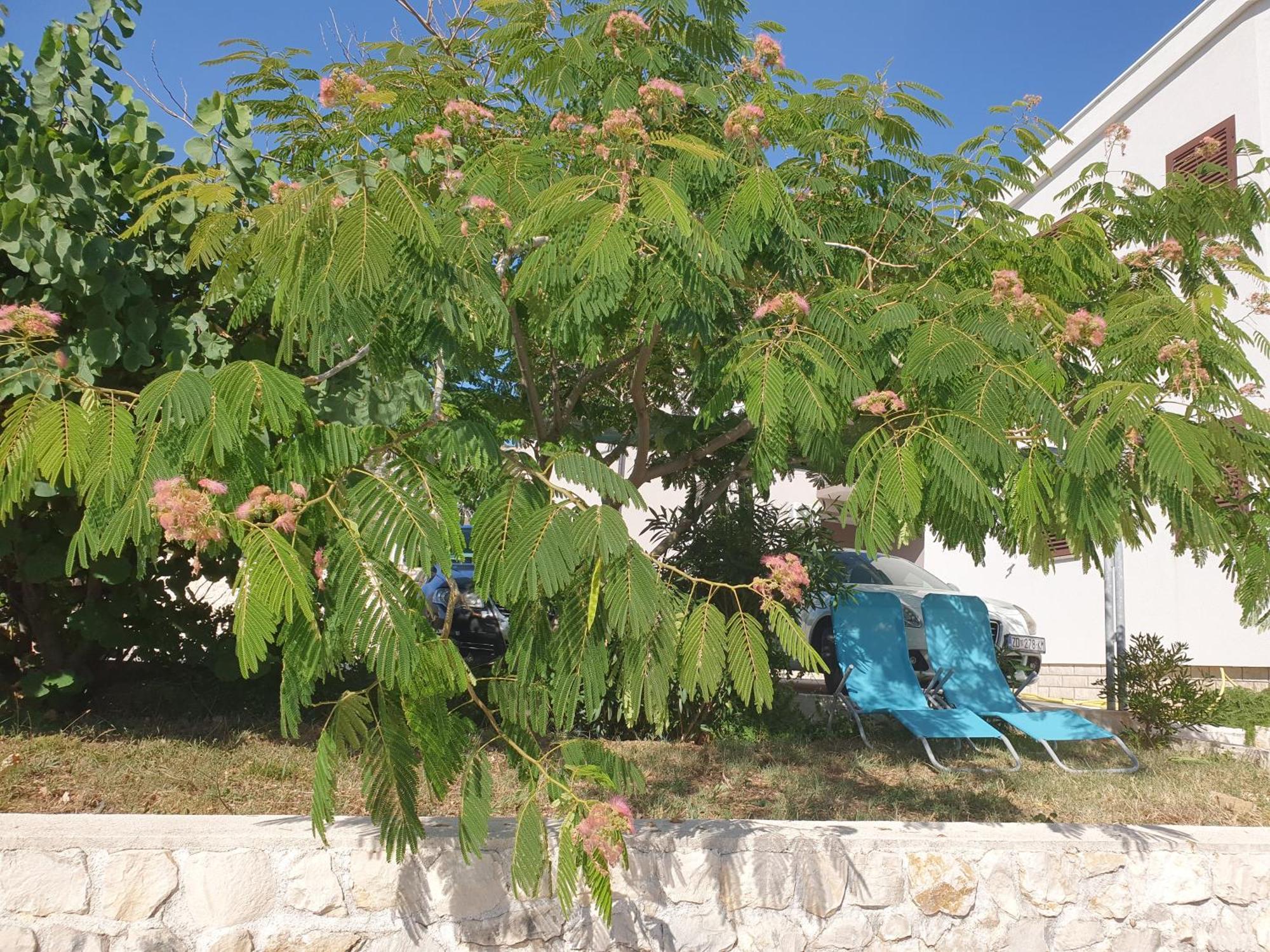 Apartmani Kunteja Pag Town Εξωτερικό φωτογραφία